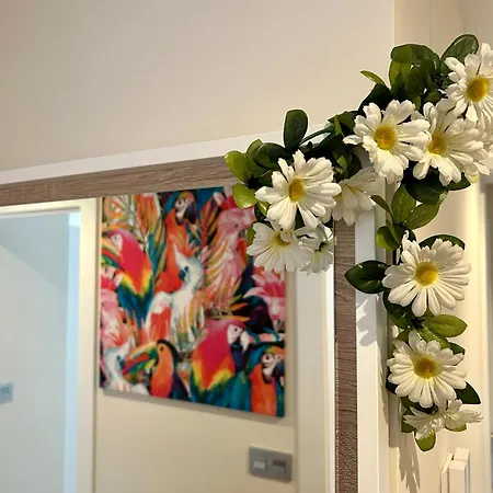 Centrico Junto A La Playa De San Lorenzo *